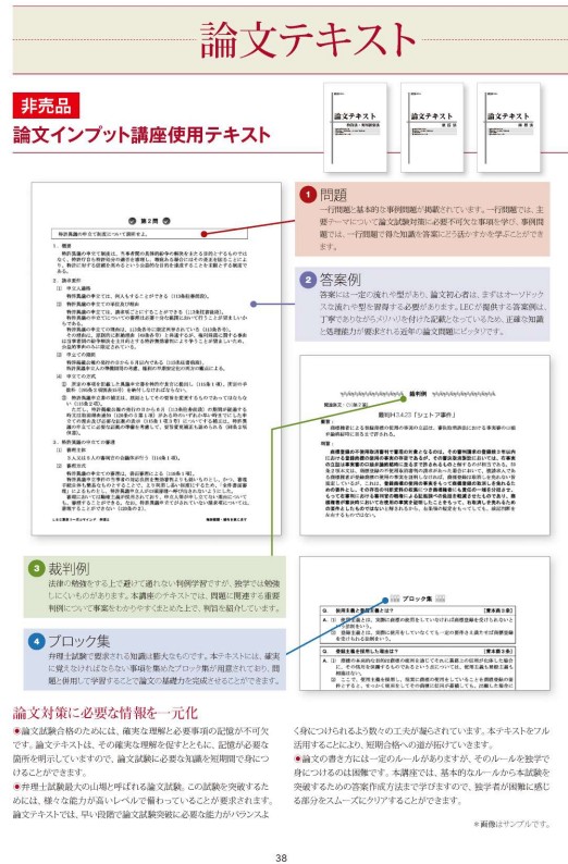 論文テキスト