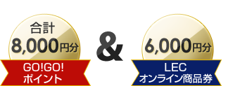 合計8,000円分GO!GO!ポイント