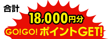 合計18,000円分GO!GO!ポイント