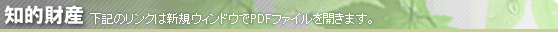 【知的財産】下記のリンクは新規ウィンドウでPDFファイルを開きます。