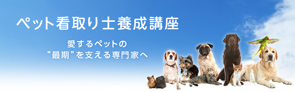  ペット看取り学講座合格講座
