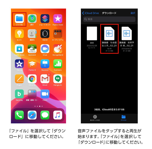 iOS̏ꍇ