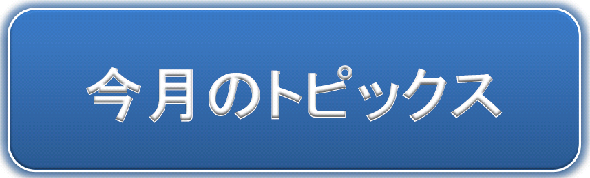 今月のトピックス