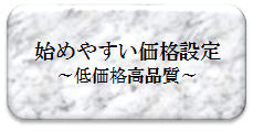 E始めやすい価格設定.png