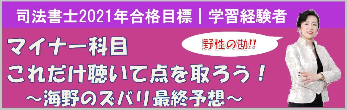 【司法書士】海野講師担当 マイナー科目これだけ聴いて点をとろう!