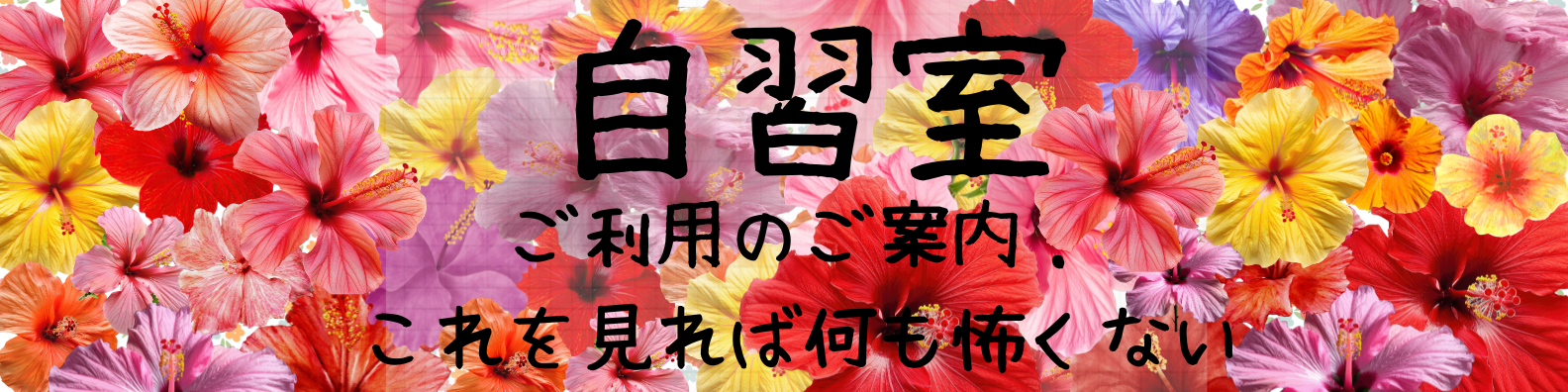 �V�h�G���^���[�{�Z�y���K���J���󋵁z�̂��ē�