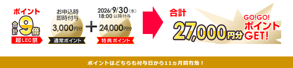 27LECの日ポイント利用例.png
