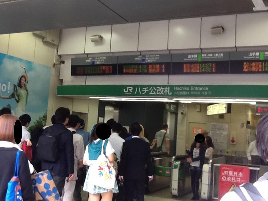入り口画像.jpg