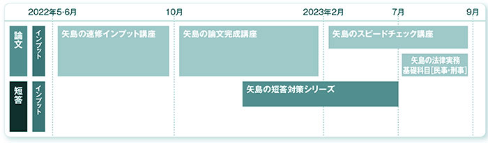 矢島の論文完成講座 - 司法試験 予備試験｜LEC東京リーガルマインド